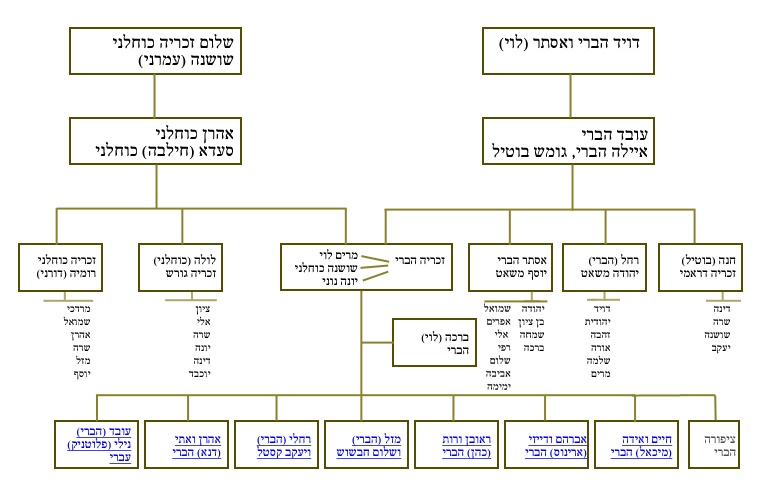 עודד עברי סיפורי חיים